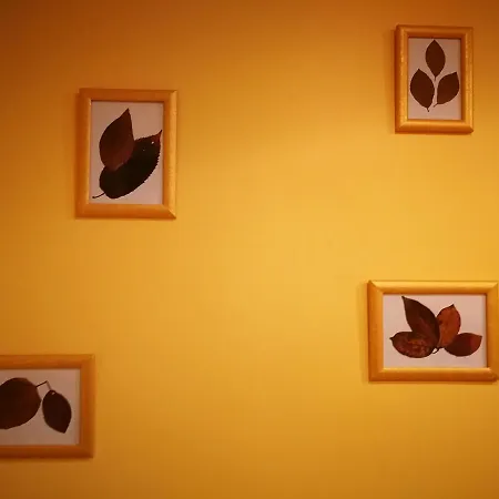 Hotell Rakov Skocjan Cerknica